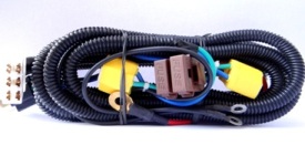 Headlamp Wiring Harness: